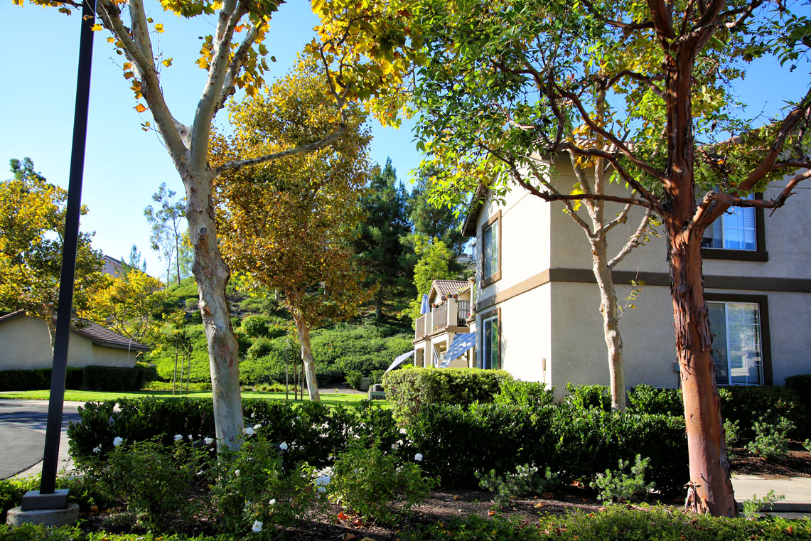 Work Image